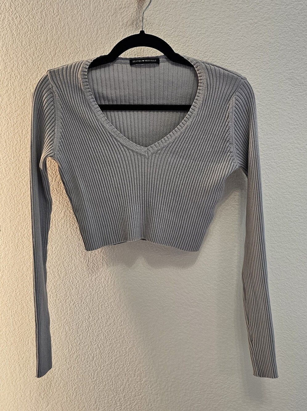 Brandy Melville Light Gray Ribbed V-Neck Long Sleeve Crop Top